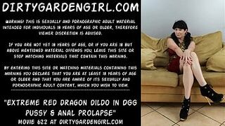 Extreme red dragon dildo in Dirtygardengirl vagina & anal prolapse